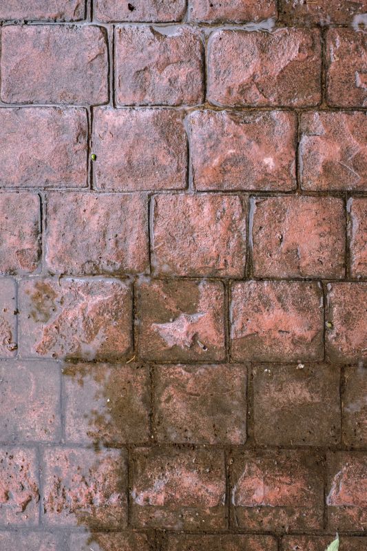 Decorative Concrete Repair in Novi, MI