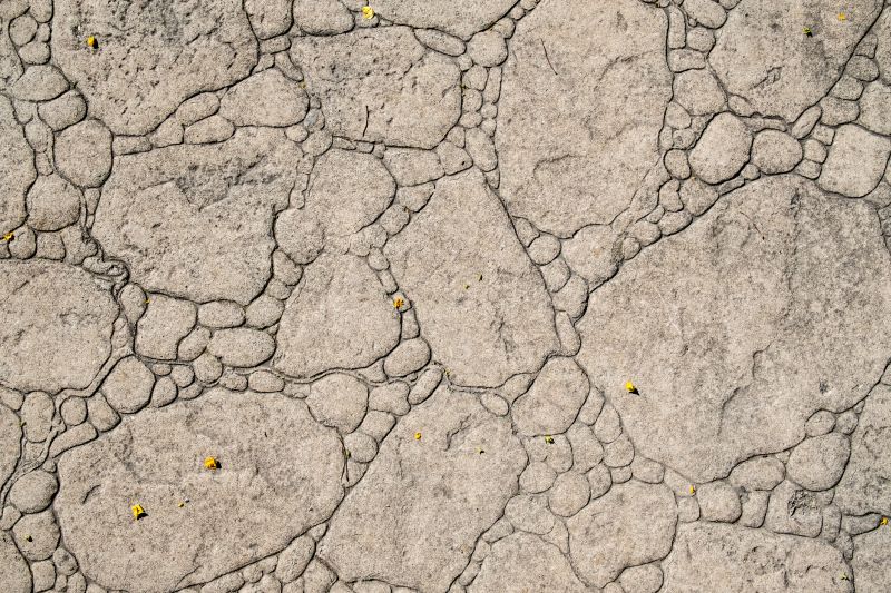 Decorative Concrete Repair in Santa Cruz, CA
